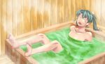  1girl barefoot bath bathing blank_eyes collarbone eyebrows_visible_through_hair green_hair ishii_hisao kantai_collection leaning_back long_hair nude open_mouth sitting soles solo steam toes twintails water zuikaku_(kantai_collection) 