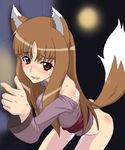  animal_ears cl-55 female horo solo spice_and_wolf wolf_ears 
