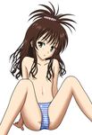  brown_eyes brown_hair cameltoe flat_chest long_hair nipples no_bra panties ponytail sitting solo sora_(headless) striped striped_panties to_love-ru topless underwear yuuki_mikan 