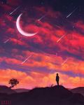  1boy angel_ganev artist_name cloud cloudy_sky crescent_moon dark grass highres meteor_shower moon night night_sky original outdoors red_sky scenery shooting_star silhouette sky solo star_(sky) starry_moon starry_sky tree twilight wide_shot 