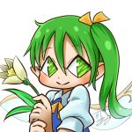  1girl avatar_icon blush chamaji close-up collared_shirt commentary daiyousei eyebrows_visible_through_hair fairy fairy_wings flower green_eyes green_hair hair_between_eyes hair_ribbon holding holding_flower looking_at_viewer lowres neck_ribbon pointy_ears puffy_short_sleeves puffy_sleeves ribbon shirt short_sleeves side_ponytail signature simple_background smile solo touhou upper_body vest white_background wing_collar wings 