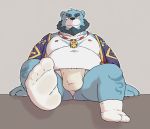  2020 anthro asian_clothing beard belly blue_body blue_fur bonasiah bulge clothing east_asian_clothing facial_hair flappydog full_attack fundoshi fur humanoid_hands japanese_clothing kemono male mammal moobs navel nipples overweight overweight_male robe sitting solo underwear ursid white_body white_fur 十泉介 