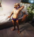  2019 anthro bed bedroom black_nose book brown_body brown_fur bulge chest_tuft clothed clothing detailed fur furniture hi_res inside kebi light lighting male mammal marten mustelid musteline open_mouth plant plushie poster potted_plant shelf solo standing tan_body tan_fur tongue tongue_out topless tuft underwear whiskers white_body white_fur yawn 