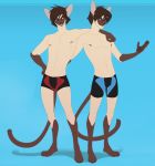  arno blue_eyes brother brothers celio clothed clothing domestic_cat felid feline felis hi_res mammal mouth_closed nipples open_mouth peritian siamese sibling side_hug swimwear topless twins 