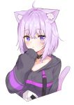  1girl absurdres ahoge animal_ear_fluff animal_ears bangs belt_collar blush cat_ears cat_tail collar cropped_torso crossed_bangs ears_down eyebrows_visible_through_hair grey_sweater hair_between_eyes hand_up highres hololive looking_at_viewer nekomata_okayu parted_bangs purple_eyes purple_hair racchi. short_hair simple_background sleeves_past_wrists solo sweater tail upper_body white_background 