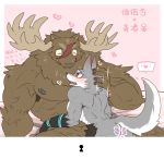  &lt;3 abs antlers armpit_hair backsack balls blush body_hair butt canid canine canis capreoline censored cervid clawlion genitals horn male male/male mammal moose muscular muscular_male nipples nude pecs perineum scar size_difference tattoo text translation_request wolf 