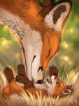  2020 canid canine colored_sketch cub digital_media_(artwork) duo feral flashw fox lying mammal on_back paws young 