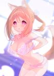  1girl absurdres animal_ear_fluff animal_ears bare_shoulders blurry blurry_background blush bra breasts brown_hair chestnut_mouth cleavage collarbone depth_of_field hair_between_eyes hair_ribbon highres large_breasts leaning_forward looking_at_viewer milia_leclerc mofu-mofu_after_school mofumofu_channel navel p19 panties parted_lips ponytail purple_bra purple_panties ribbon sidelocks solo tail thighhighs underwear undressing white_ribbon white_thighhighs 
