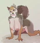 5_fingers all_fours anthro areola big_breasts breasts brown_body brown_fur canid canine female fingers fur grey_body grey_fur hi_res huge_breasts looking_at_viewer mammal nipples nude odisia pink_areola pink_nipples solo tail thick_thighs white_body white_fur