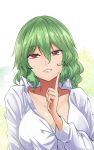  1girl bangs breasts cleavage collarbone commentary_request eyebrows_visible_through_hair green_hair grin hair_between_eyes hand_up highres index_finger_raised kazami_yuuka long_sleeves looking_at_viewer red_eyes shirt short_hair smile solo touhou upper_body white_shirt y2 