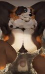 2024 anonymous_artist anthro armpit_hair balls bathtub belly bernese_mountain_dog body_hair brown_body brown_fur bubble_bath canid canine canis domestic_dog ear_piercing ear_ring floppy_ears foreskin front_view fur genitals hand_behind_head happy_trail hi_res in_bathtub looking_at_viewer male mammal molosser mountain_dog musclegut muscular muscular_male neck_tuft nipples nude overweight overweight_male partially_submerged penis piercing pinup pose ring_piercing smile solo swiss_mountain_dog tuft water