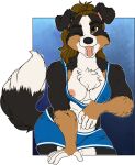 2023 anthro areola bernese_mountain_dog bernie_sennenhund black_body black_fur black_nose blue_bra blue_clothing blue_gym_shorts blue_hotpants blue_sports_bra blue_underwear bra breasts brown_body brown_eyes brown_fur brown_hair button_ears canid canine canis chest_tuft clothing countershade_chest countershade_face countershade_legs countershade_neck countershade_thighs countershade_torso countershading dipstick_tail domestic_dog female flashing flashing_breasts floppy_ears fur hair hi_res mammal markings molosser mountain_dog nipples oli_snowpaw one_eye_closed pink_areola pink_inner_ear pink_nipples pink_tongue pulling_bra solo sports_bra swiss_mountain_dog tail tail_markings tongue tongue_out tuft underwear white_body white_countershading white_fur white_tail_tip wink