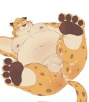 2024 after_sex anthro belly benjamin_clawhauser big_belly blush bodily_fluids butt cheetah cum cum_on_butt cum_on_leg disney feet felid feline genital_fluids hi_res kemono male mammal moobs navel nipples overweight overweight_male simple_background solo tengzai05 white_background zootopia