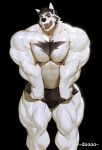 anthro bear biceps big_muscles black_background black_bottomwear black_clothing black_pants bottomwear clothing doooo2424 hi_res looking_at_viewer male mammal muscular muscular_male pants pecs quads simple_background solo standing white_body