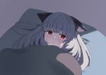  1girl absurdres animal_ear_fluff animal_ears arknights blush frostleaf_(arknights) grey_background grey_hair highres long_hair looking_at_viewer lying on_back parted_lips pillow red_eyes simple_background solo suzubotan under_covers 