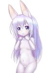  alternate_species anthro blue_eyes breasts chino_kafuu cub female furrification genitals hair is_the_order_a_rabbit? kemono lagomorph leporid long_hair mammal mcsadat navel nude paw_pose pose purple_hair pussy rabbit simple_background small_breasts solo whiskers white_background young 