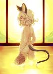  1girl animal_ears arms_at_sides ass back bath bathing breasts bucket eyebrows_visible_through_hair from_behind grey_hair highres horizon looking_at_viewer looking_back minamura_haruki mouse_ears mouse_tail nazrin nude onsen partially_submerged profile red_eyes short_hair sideways_glance small_breasts solo standing steam sun tail touhou wading wet window 