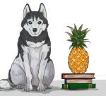 absurd_res ambiguous_gender book canid canine canis claws domestic_dog feral food fruit happy_jolson hi_res husky mammal nordic_sled_dog paws pineapple plant quadruped siberian_husky solo spitz tail