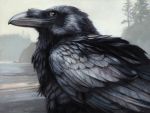  2020 ambiguous_gender avian beak bird black_beak black_body black_eyes black_feathers black_wings blurred_background brown_eyes brown_sclera corvid corvus_(genus) crow day detailed_background digital_media_(artwork) feathered_wings feathers feral fog folded_wings half-length_portrait kenket lake looking_back outside portrait raven side_view sky smile solo text tree url water wings 