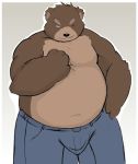  2009 anthro belly bottomwear brown_body brown_fur clothing fur male mammal one_eye_closed overweight overweight_male pants paran0id42 simple_background solo ursid wink 