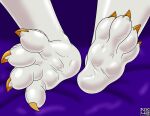 absurd_res anthro claws dragon feet foot_focus foot_shot glistening glistening_feet gold_claws hi_res immelmann male mythological_creature mythological_scalie mythology plantigrade purple_background scales scalie simple_background soles solo white_body white_scales