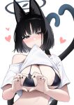  1girl animal_ears bikini black_bikini black_eyes black_hair black_nails blue_archive blue_halo breasts cat_ears cat_tail cleavage clothes_lift fingernails halo heart heart_hands highres kikyou_(blue_archive) large_breasts lifted_by_self looking_at_viewer multiple_tails nail_polish picter shirt shirt_lift short_hair short_sleeves simple_background solo swimsuit tail two_tails upper_body white_background white_shirt 