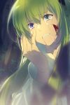  1girl 1other androgynous aqua_eyes blood blood_from_mouth blood_on_face cis05 commentary_request crying crying_with_eyes_open enkidu_(fate/strange_fake) eye_reflection eyebrows_visible_through_hair fate/grand_order fate_(series) green_hair hair_between_eyes hand_on_own_face heterochromia kingu_(fate) long_hair open_mouth purple_eyes reflection siduri_(fate/grand_order) tears teeth very_long_hair white_robe 