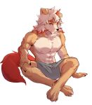  1boy abs arknights bara barefoot claws colored_tips dongyuk furry furry_male grey_shorts horns hung_(arknights) indian_style komainu_boy komainu_ears komainu_tail looking_at_viewer male_focus multicolored_hair muscular muscular_male nipples orange_eyes pectorals shorts single_horn sitting topless_male white_background 