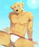  1boy abs animal_ears blue_background blue_eyes blush briefs character_name dog_boy dog_ears dog_tail english_commentary furry furry_male highres light_blush looking_up male_focus male_underwear nipples passing_love pectorals red_wristband smile tail toned topless_male travis_(passing_love) underwear white_male_underwear yuuko_(yuuko891) 
