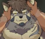 anthro canid canine canis duo erection fur grabbing_face grey_body grey_fur hand_on_head hi_res lifewonders male male/male mammal muscular muscular_male pecs tamainu55 temujin_(tas) tokyo_afterschool_summoners unavailable_at_source wolf yellow_eyes