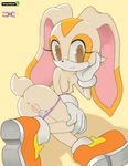  breasts cream_the_rabbit cub edit female greenhand hi_res lagomorph mammal panties presenting pussy rabbit sega solo sonic_(series) sonic_team underwear young 