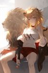  1girl animal animal_ears arknights bangs blonde_hair breasts candy collar fajyobore323 food fur_trim highres jacket lion lion_ears lollipop long_hair looking_at_viewer off_shoulder parted_lips ponytail shorts siege_(arknights) sitting solo tank_top yellow_eyes 