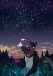  2020 5_fingers anthro detailed_background digital_media_(artwork) domestic_cat felid feline felis female fingers grass kneeling mammal night outside sky smile solo star starry_sky thelupinprincess 