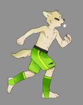  anthro biped bodypaint bottomwear breath canid canine canis clothed clothing cub domestic_dog face_paint fffffolder fur grey_background hi_res legwear male mammal navel nipples plantigrade shorts simple_background socks topless young 