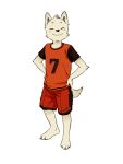  3:4 anthro biped bottomwear canid canine canis clothing cub domestic_dog eyes_closed fffffolder fur hands_on_hips hi_res male mammal plantigrade shirt shorts simple_background smile t-shirt topwear white_background young 