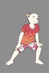  anthro biped bottomwear canid canine canis clothing cub domestic_dog fffffolder fur grey_background hat headgear headwear hi_res male mammal plantigrade shirt shorts simple_background t-shirt topwear young 