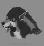  2019 anthro canid canine canis digital_media_(artwork) male mammal monochrome rakan rose_(disambiguation) scar teknicolortiger were werecanid werecanine werewolf wolf 