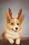  2016 black_nose brown_body brown_eyes brown_fur canid canine canis domestic_dog fake_antlers feral fur herding_dog hi_res mammal medaya pastoral_dog solo tongue tongue_out welsh_corgi whiskers 