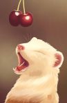 2016 cherry domestic_ferret eyes_closed feral food fruit fur mammal medaya mustela mustelid musteline open_mouth pink_nose plant solo whiskers white_body white_fur 