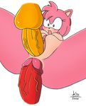  amy_rose kio knuckles_the_echidna sonic_team tails 