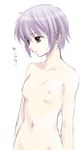  breasts brown_eyes ikuhashi_muiko nagato_yuki nipples nude short_hair silver_hair simple_background small_breasts solo source_request suzumiya_haruhi_no_yuuutsu translated white_background 