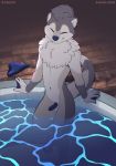  absurd_res anthro chest_tuft danzer erection eyes_closed hi_res hot_tub lutrine male mammal membrane_(anatomy) mustelid navel shiuk solo standing text tuft url webbed_hands 