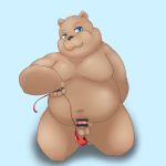  1:1 2020 anthro asian_clothing balls belly blue_eyes brown_body brown_fur censored clothing east_asian_clothing fundoshi fur genitals hi_res inokuma_don japanese_clothing kemono male mammal moobs overweight overweight_male penis simple_background solo underwear ursid young 