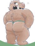  2020 3:4 anthro brown_body brown_fur butt clothing dain_4201 fur hi_res kemono male mammal overweight overweight_male solo suid suina sus_(pig) underwear wild_boar 
