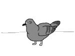  4:3 ambiguous_gender animated animated_comic avian bird columbid comic english_text feathers feral flipnote_studio grey_body grey_feathers helicopter_head keke_(artist) low_res photography_(artwork) pigeon real short_playtime solo spinning text toony what 