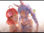  2girls ahoge animal_ears armband bare_back bare_shoulders blue_hair braid breasts bunny_ears bunny_girl buttons carrot carrot_hair_ornament cherry_blossoms cleavage extra_ears eyebrows eyebrows_visible_through_hair flower food_themed_hair_ornament green_eyes hair_flower hair_ornament hololive long_braid long_hair looking_at_another medium_breasts ming-shuang multiple_girls orange_eyes pink_hair sakura_miko scarf shoulder_blades small_breasts twin_braids upper_body usada_pekora virtual_youtuber 