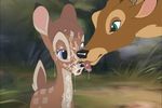 bambi bambi&#039;s_mom disney tagme theother 