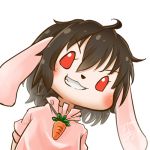  1girl animal_ears avatar_icon black_hair bunny_ears carrot carrot_necklace chamaji commentary dress eyebrows_visible_through_hair floppy_ears hair_between_eyes inaba_tewi jewelry looking_at_viewer lowres pendant pink_dress red_eyes short_hair signature smile solo touhou white_background 