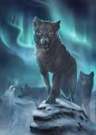 4_toes ambiguous_gender aurora_(disambiguation) black_eyelashes canid canine canis detailed_background feral group mammal night open_mouth outside paws pechschwinge teeth toes tongue wolf yellow_eyes 