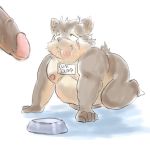  bodily_fluids bowl canid canine canis cum cum_in_mouth cum_inside domestic_dog erection food_bowl genital_fluids genitals guacamolesenpai hi_res humanoid_genitalia humanoid_penis humiliation male male/male mammal moritaka nipples overweight overweight_male penis scar tokyo_afterschool_summoners video_games 